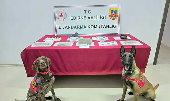 Edirne’de 500 gram skunk ele geçirildi