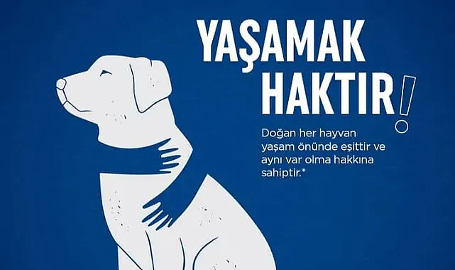 Kırklareli ÇYDD Sokak Hayvanları için Ses Verdi