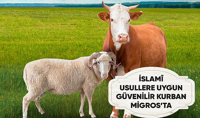 Kırklareli Migros'ta İslami Kesim Garantili Kurbanlar: Hijyenik ve Güvenilir!