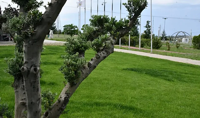 Lüleburgaz'ın Geleceği İçin Sürdürülebilir Adımlar!