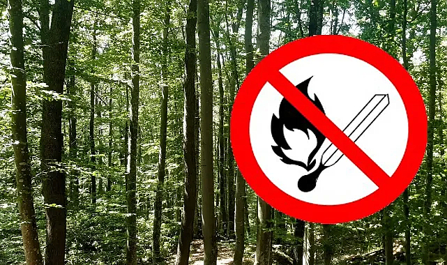 Bakanlıktan Kritik Uyarı: Yeşil Vatan İçin Dikkat Şart!