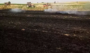 Edirne'de aynı köyde 1 gün arayla çıkan 2 tarla yangınında 110 dönüm ekili buğday zarar gördü