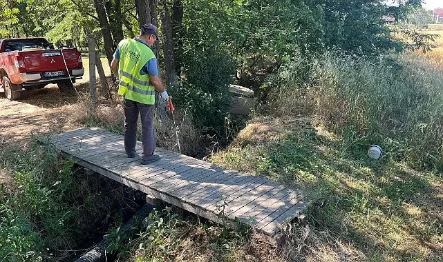 Halk Sağlığı İçin İlaçlama Çalışmaları Hız Kesmeden Devam Ediyor