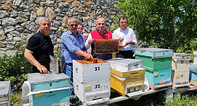 Kırklareli'de Ana Arı Yetiştiriciliği Projesi Devam Ediyor