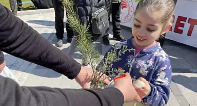 Kırklareli’de Dünya Çevre Günü'nde 500 fidan dağıtıldı