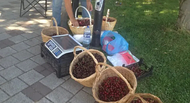 Kırklareli Kirazı: Tarladan Sofraya Taze Lezzet