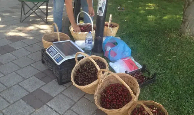 Kırklareli Kirazı: Tarladan Sofraya Taze Lezzet