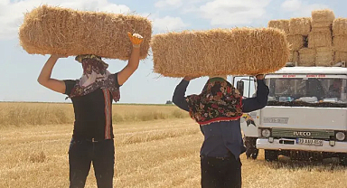 Kırklareli’nde Saman Mesaisi Başladı