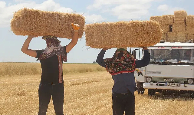 Kırklareli’nde Saman Mesaisi Başladı