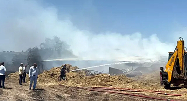 Tekirdağ'da 180 dönüm ekili buğday yandı; 3 kişi dumandan etkilendi