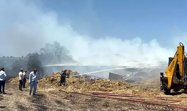Tekirdağ'da 180 dönüm ekili buğday yandı; 3 kişi dumandan etkilendi
