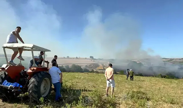 Tekirdağ'da yangında 200 dekar tarım alanı zarar gördü