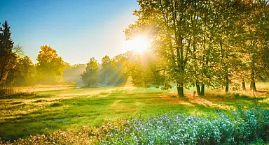 Trakya'da Hava Durumu  (21 Haziran 2024)