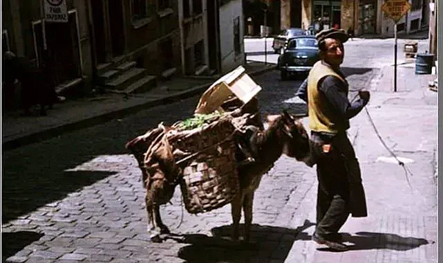 Unutulmuş Bir Meslek: Eşekli Zerzevatçılık