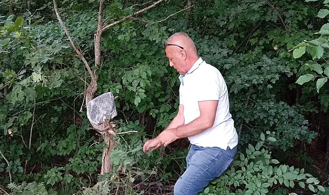 Açılmak İstenilen Altın Madeni Sahasına Kaya Tuzu Bırakıldı