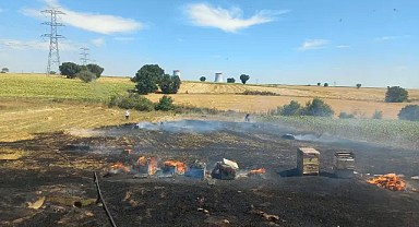 Anız Yangını 200 Arı Kovanını Küle Çevirdi