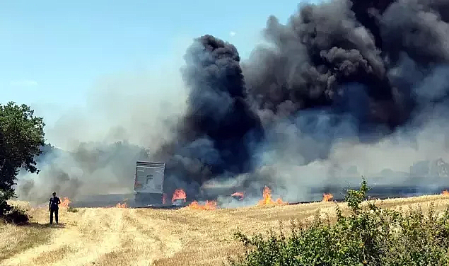 Buğday yüklü TIR alev aldı; 10 dekar tarım alanı zarar gördü