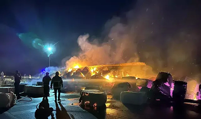 Edirne'de pamuk yüklü TIR alev alev yandı