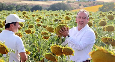‘Kuraklığa dayanıklı yerli ve milli ayçiçeği tohumu 300 bin dekara ekildi’