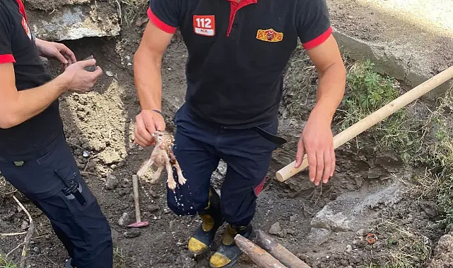 Lüleburgaz İtfaiyesi, Gider Borusuna Sıkışan Yavru Kediyi Kurtardı