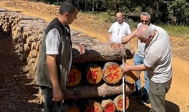 Orman Denetimleri Hız Kesmeden Devam Ediyor