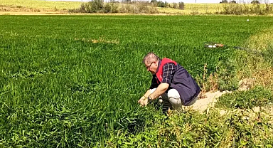 Pehlivanköy'de Çeltik Ekimi Ruhsatlandırma İşlemleri Tamamlandı