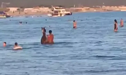 Serinlemek için atıyla birlikte denize girdi, o anlar kamerada
