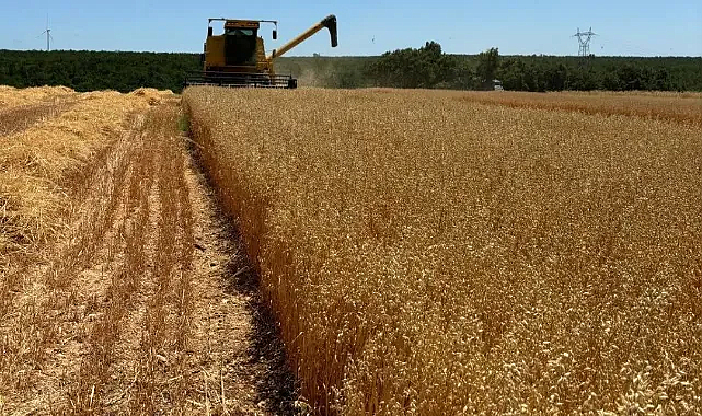 Vize'de Yerli Arpa ve Yulaf Hasadı Tamamlandı