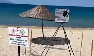 Saros'ta caretta caretta yuvası, korumaya alındı
