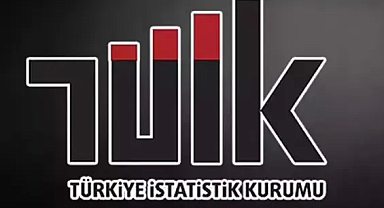 TÜİK'in 2024 Ağustos İstatistik Özeti