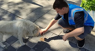 Ülkü Ocakları Kırklareli İl Başkanlığı'ndan Sokak Hayvanlarına Destek
