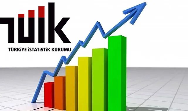 Türkiye'nin 2024 İkinci Çeyrek GSYH Verileri Açıklandı