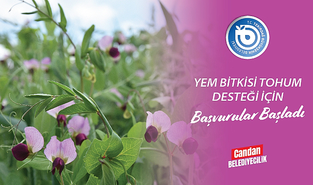 YEM BİTKİSİ TOHUM DESTEĞİ İÇİN BAŞVURULAR BAŞLADI