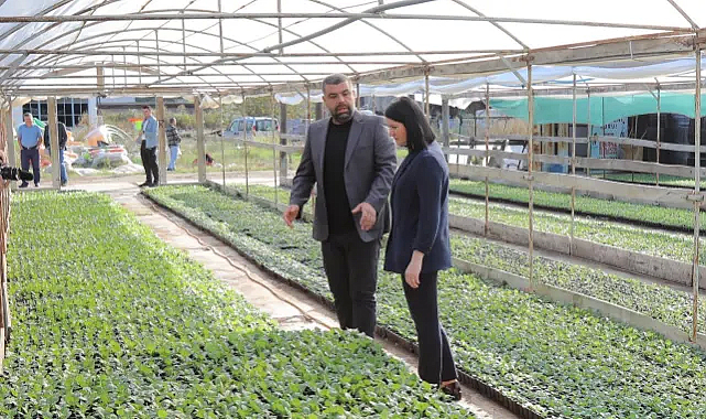 Edirne'de Parklar Çiçek Açacak, Yeni Peyzaj Çalışmaları Başlıyor
