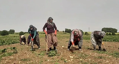 Kırklareli’de Kadın Çiftçilere Anlamlı Etkinlik: Dünya Kadın Çiftçiler Günü Kutlandı