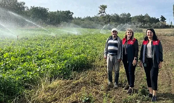 Vize'de Fasulye Yetiştiriciliğinde Son Sulama Gerçekleşti