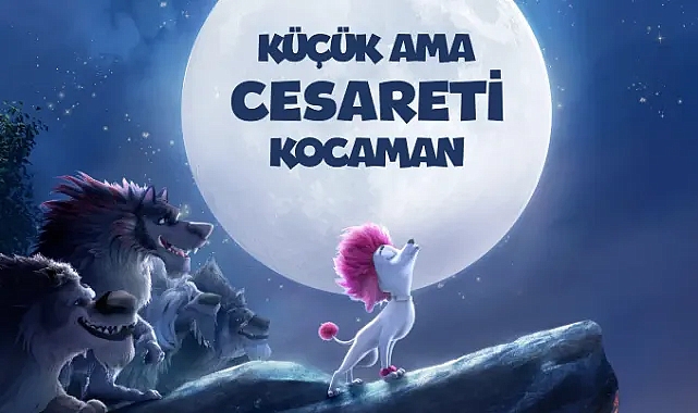 22 Kasım’da Kahkaha ve Macera Zirve Yapıyor: Geniş Aile 4 ile %100 Kurt Vizyonda!