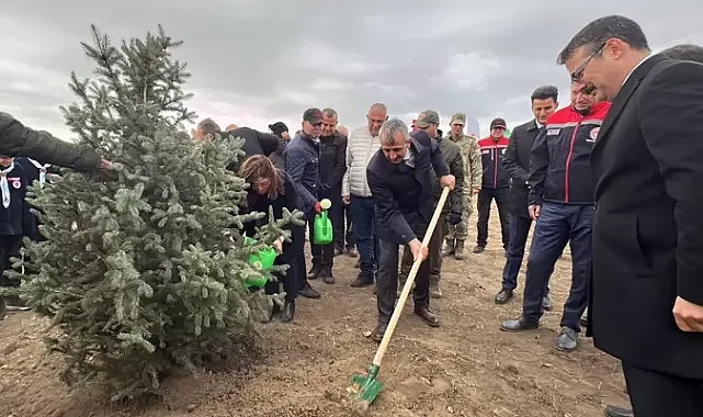 Edirne'de Milli Ağaçlandırma Günü'nde 2 bin fidan toprakla buluştu