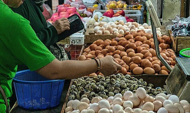 Aralık 2024 Tüketici Güven Endeksi ve Alt Endekslerdeki Değişimler