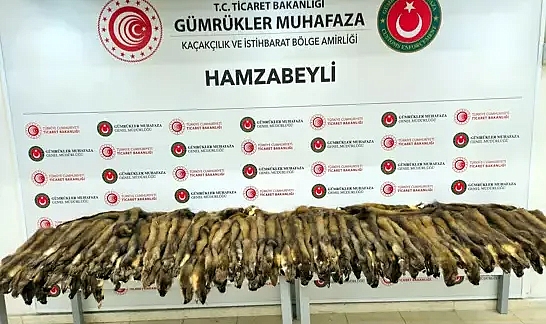 Hamzabeyli Sınır Kapısı'nda 155 samur postu ile 239 cep telefonu ele geçirildi