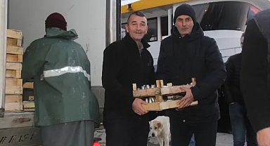 İğneadalı Balıkçılardan Tavsiye: "Şimdi Tam Zamanı!"