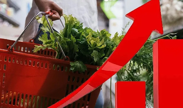 Aralık 2024 TÜFE Verileri Açıklandı: Yıllık Artış Yüzde 44,38