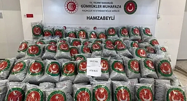 Hamzabeyli'den giriş yapan TIR'da 870 kilo skunk ele geçirildi