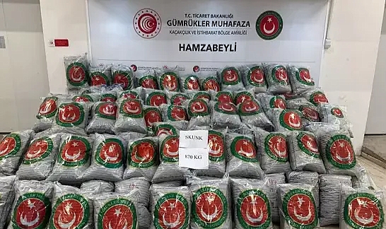 Hamzabeyli'den giriş yapan TIR'da 870 kilo skunk ele geçirildi