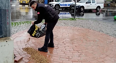 Kırklareli Belediyesi'nden Sokak Hayvanlarına Kış Desteği