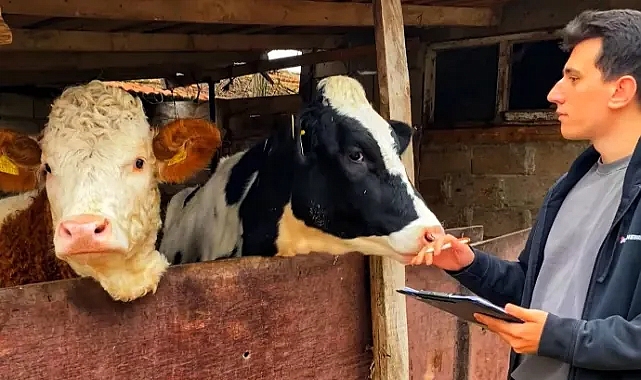 Kırklareli'nde Hayvancılık İşletmelerinde Küpe ve Sağlık Kontrolleri Devam Ediyor