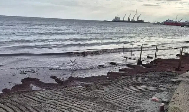 Tekirdağ'da sahili kırmızı yosun kapladı