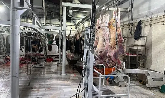 Hayrabolu'da kaçak kesim yapan mezbahaya ceza