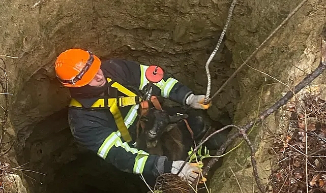 Keşan’da 32 Metrelik Kuyuya Düşen Keçiler Kurtarıldı!