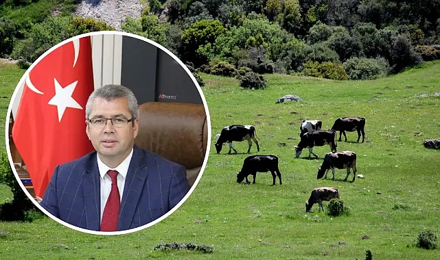 Kırklareli'de Hayvancılığa Destek Projesi Başlıyor!